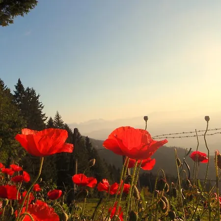 Szálloda Garni Gaestehaus Karin 3*