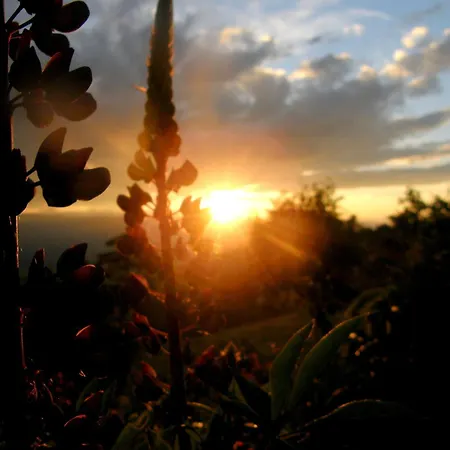 Garni Gaestehaus Karin 3*