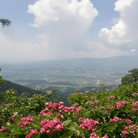 Garni Gaestehaus Karin 3*