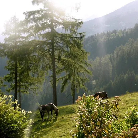 Garni Gaestehaus Karin Hotel 3*