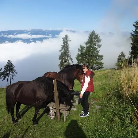 Garni Gaestehaus Karin 3* Sankt Stefan im Lavanttal