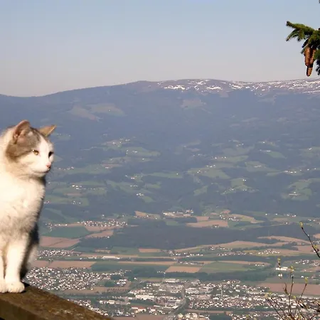 Garni Gaestehaus Karin Hotel 3*