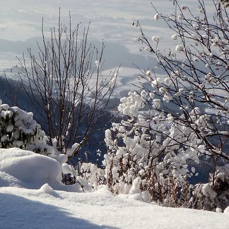 Garni Gaestehaus Karin 3*