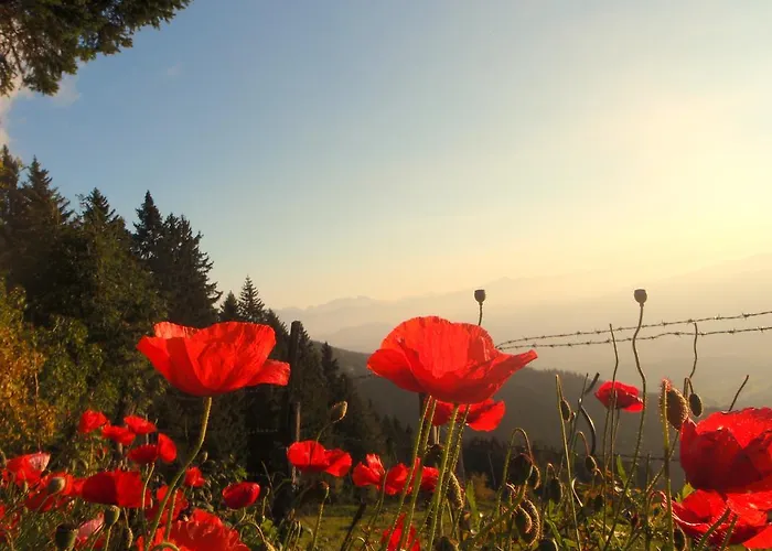 Hotel Garni Gaestehaus Karin 3*