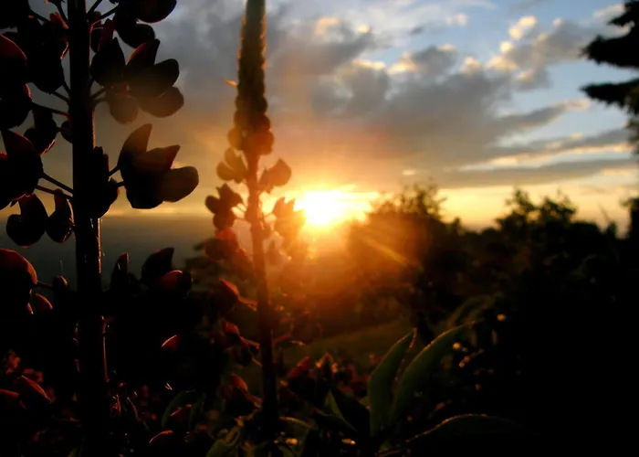 Garni Gaestehaus Karin 3*