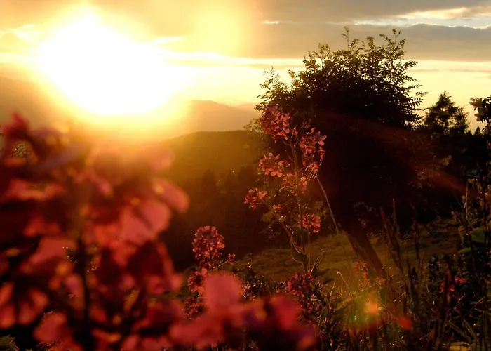 Hotel Garni Gaestehaus Karin Sankt Stefan im Lavanttal