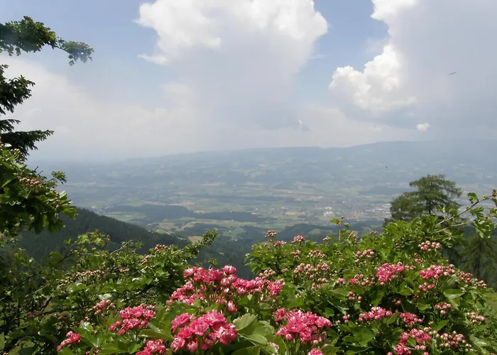 Garni Gaestehaus Karin 3*