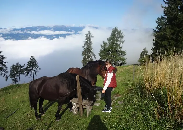 Garni Gaestehaus Karin 3* Sankt Stefan im Lavanttal