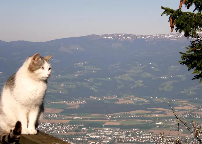 卡琳加尼酒 酒店 3*