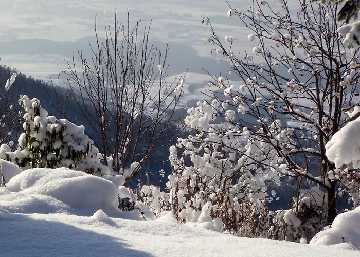 Garni Gaestehaus Karin 3*